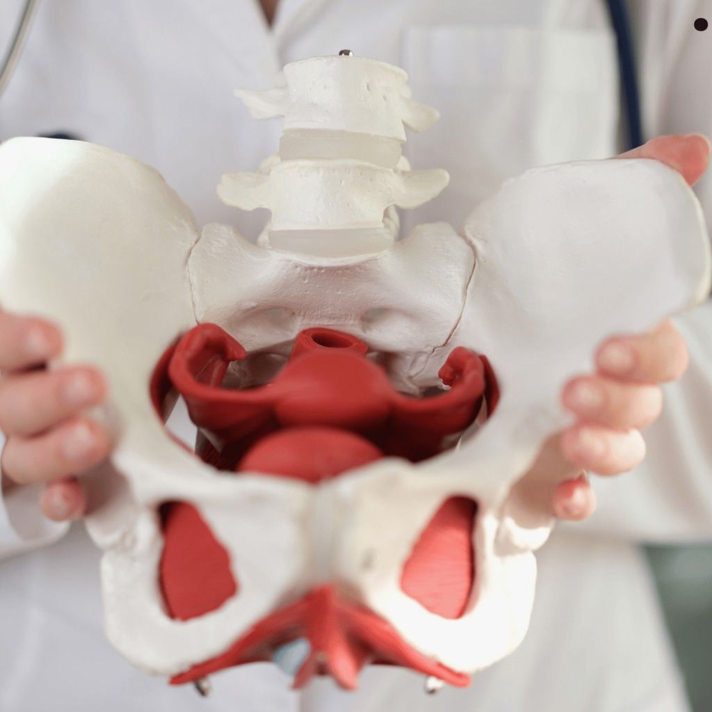 Physical Therapy and Rehabilitation